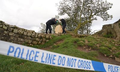 Public urged not to take branches from Sycamore Gap tree as souvenirs