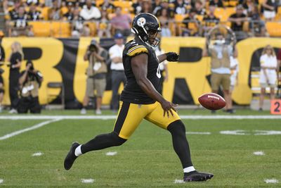 Steelers vs Texans: P Pressley Harvin III expects to be game-time decision
