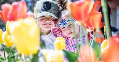 'It feels like home here': Club Kalina's special Floriade party