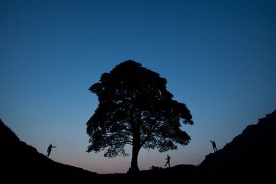 Man in his 60s arrested over felling of famous Hadrian’s Wall tree