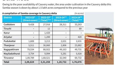 Samba coverage in the Cauvery delta down by 1.5 lakh acres this season
