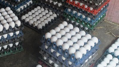 Kallakurichi Collector warns of stern action against diversion of eggs meant for supply to noon meal centres