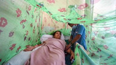 Bihar reports 6,146 dengue cases in September, highest in last five years