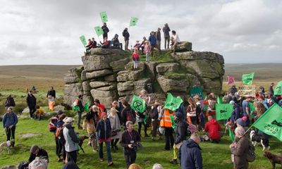 Campaigners urge Prince William to rewild Dartmoor farmland