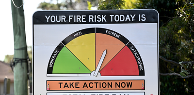 Our mood usually lifts in spring. But after early heatwaves and bushfires, this year may be different