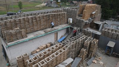 Kashmir bat industry hits its sweet spot after 102 years
