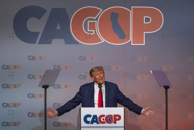 Trump says he’d rather be electrocuted than eaten by a shark in bizarre rant