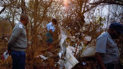 Indian mining tycoon Harpal Randhawa among 6 killed in Zimbabwe plane crash