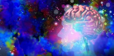 Psychedelics plus psychotherapy can trigger rapid changes in the brain − new research at the level of neurons is untangling how