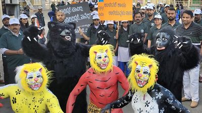 Mysuru zoo’s Wildlife Week celebrations take off