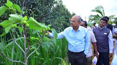 Natural farming is key to achieving a healthy society, says Andhra Pradesh Chief Secretary Jawahar Reddy