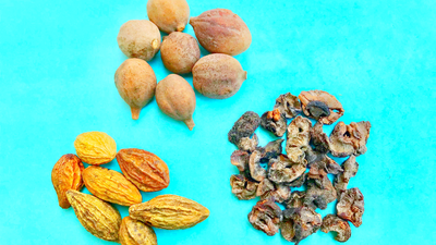 Ayurveda: From lowering cholesterol to preventing constipation, 6 benefits of Triphala