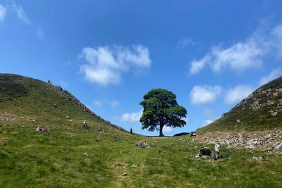 Sycamore Gap tree – latest: Future of site to be decided as National Trust inundated with messages of support