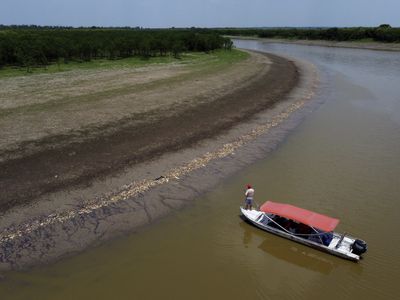 More than 100 dolphins found dead in Brazilian Amazon as water temperatures soar