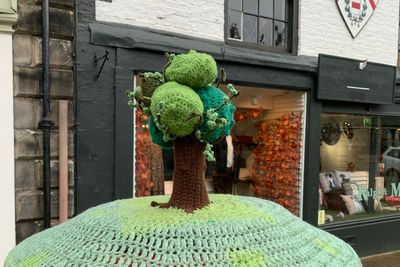 ‘Lovely’ crochet tribute to Sycamore Gap tree appears in nearby high street