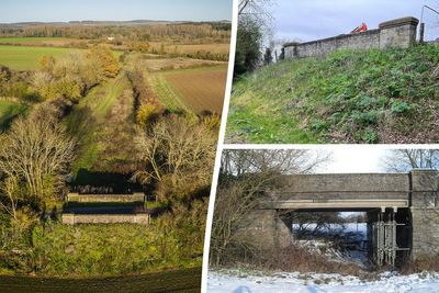 ‘Unlawful, unnecessary and destructive’: Agency told to restore bridge after filling its arch with concrete