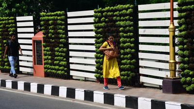 Vertical gardens planned on bridges to make Vijayawada greener