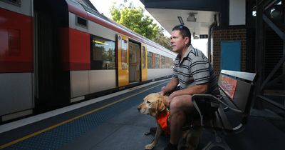 Trampled paws and no seats: Paul and Keith's struggle with public transport