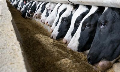 US wants UK to open up its agriculture markets as part of new trade deal
