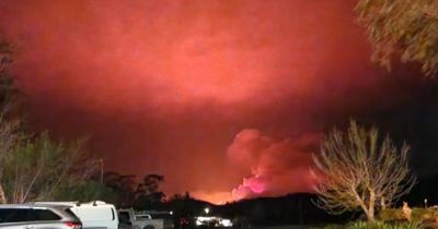 Homes lost in Far South Coast bushfire, NSW RFS say