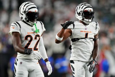 Bengals take biggest dive yet in power rankings