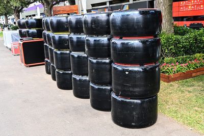 F1 will avoid sunshine tyre tricks if tyre blanket ban happens