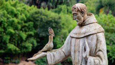 Daily Quiz | On World Animal Day