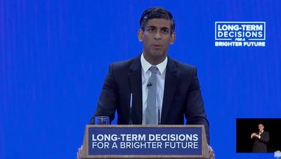 David Cameron slams Rishi Sunak for scrapping HS2 Northern leg in rare intervention