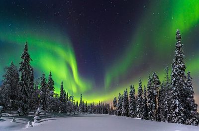 6 of the best Northern Lights holidays in Finland