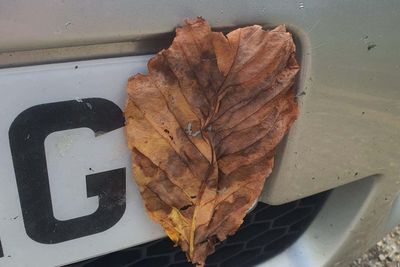 Motorist fined for taping a leaf to obscure their number plate