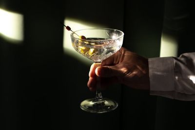 Best premium vodka brands to add to your home bar, from Absolut to Grey Goose