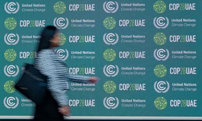 UK government asks UAE for assurances over free speech at Cop28 summit