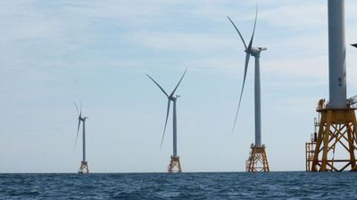 Offshore Wind Farms Have A Whale Of A Problem