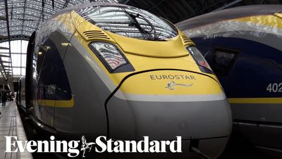 Eurostar to increase preventative measure on trains amid France’s bed bug invasion