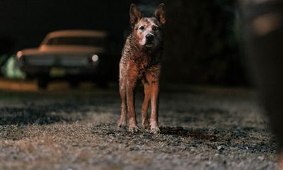 Pet Sematary: Bloodlines review – pointless horror prequel