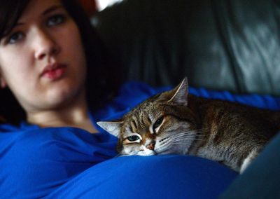 Scientists have finally worked out how cats produce purring sounds