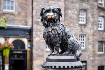 Pet blessing service to take place at Greyfriars Bobby church