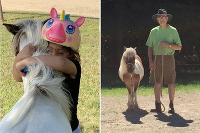 Beloved miniature horse named Penny killed with crossbow bolt to chest