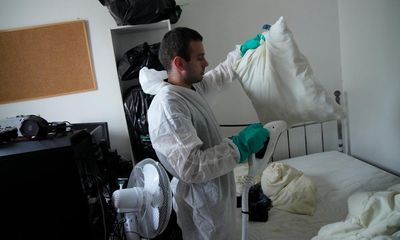 People in France: have you been affected by bedbugs?