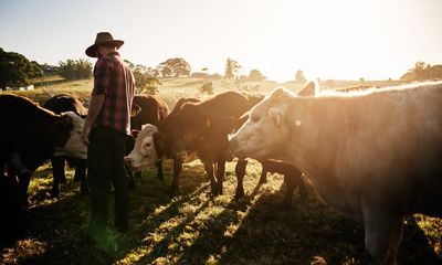 Australian farm incomes to be squeezed as prices dive and fears of a dry summer loom