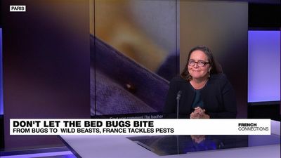 Don't let the bedbugs bite: France tackles pests large and small