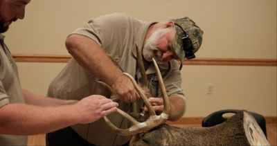 KY Fish and Wildlife seeking $12,000-plus in civil penalties against two deer poachers