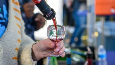 Navigating the Lincoln Park Wine Festival: prepping with key wine basics