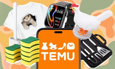 Addictive, absurdly cheap and controversial: the rise of China’s Temu app