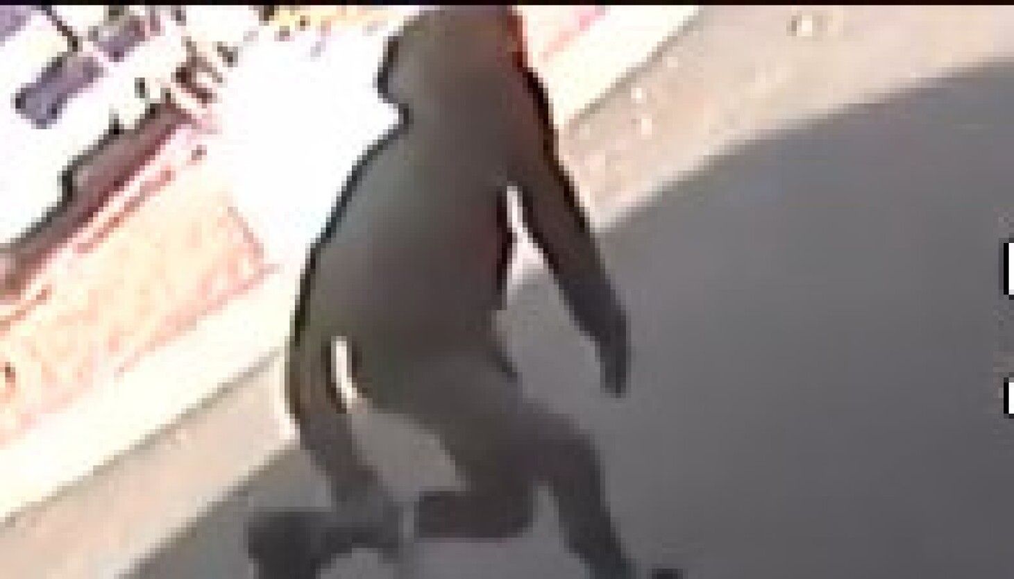 FBI release surveillance video showing shootout,…