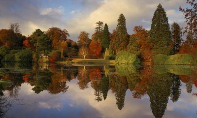 Wet UK summer brings high hopes for spectacular autumn display