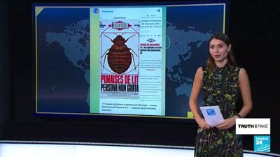 Russian propaganda falsely blames Ukrainian refugees for Paris bedbug outbreak
