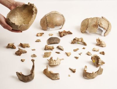 Europeans cannibalised on their dead loved ones 15,000 years ago, archaeologists say