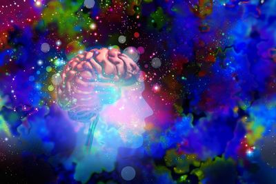 How psychedelics change the brain