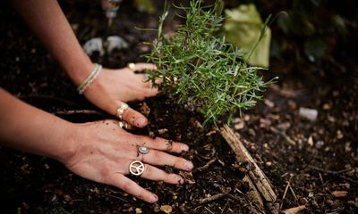 UK gardeners: tell us about flower planting in public spaces where you live